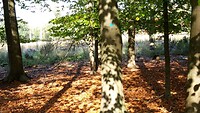 IMG_100107