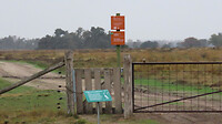IMG_100286