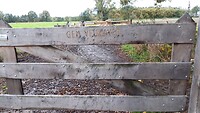 IMG_100300