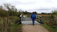 IMG_100301