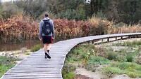 IMG_100303
