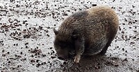 IMG_100304