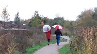 IMG_100305