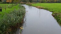 IMG_100307