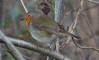 IMG_100314