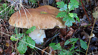 IMG_100316