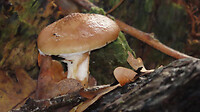 IMG_100318