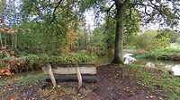 IMG_100320