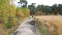 IMG_100455