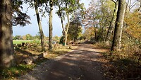 IMG_100456