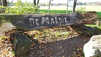 IMG_100457