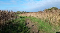 IMG_100458