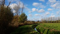 IMG_100461