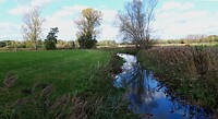 IMG_100463