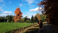 IMG_100464