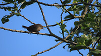 IMG_2011