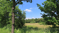 IMG_2125
