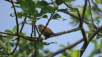 IMG_2159