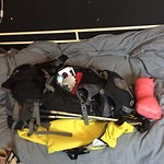 IMG_6830