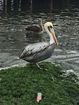 IMG_6902