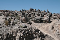 IMG_0257