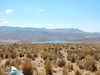 DSCN8738