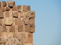 DSCN8814