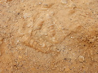 DSCN7848