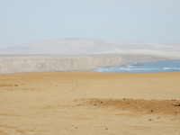 DSCN7868