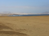 IMG_6919