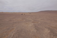IMG_0014