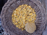 DSCN9202