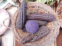 DSCN9203