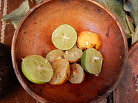 DSCN9204