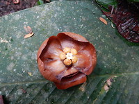 DSCN9718