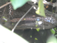 DSCN9779