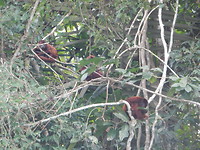 DSCN9783