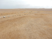 DSCN7845