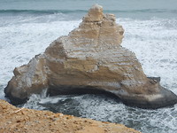 DSCN7870