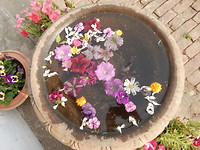 Shivpatinagar