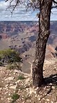 Grand Canyon South Rim