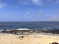 00690C06-3FDE-4C07-BF19-3A1B34C01D5B