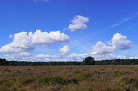 DSC06882