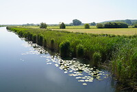 DSC00009