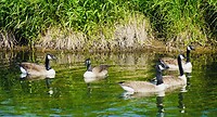 DSC00034