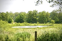 DSC00072