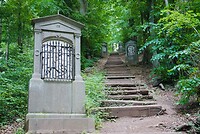 DSC00246