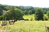 DSC00232