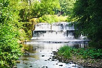DSC00217