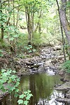 DSC00276